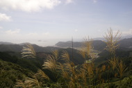 ツヅラ峠 頂上からの眺め