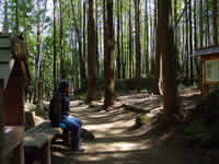 松本峠 頂上のベンチで一休み
