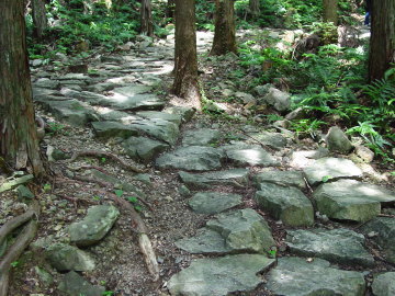 Good-shape Stone Path