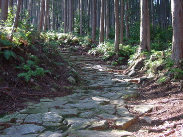 Stone Path on sunny day