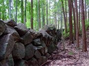 stone-made wall for protection against wild boars
