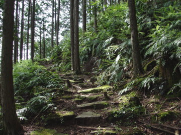 Miki-toge Pass trail