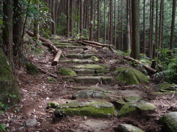 Stone Path on Hago-toge Pass