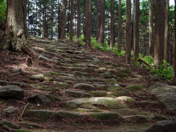 good stone path on Sone-Jirozaka-Tarozaka