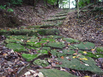 stone path made of "Yokogaki-ryumongan rock"