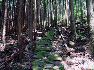 good stone path on Tori-toge Pass