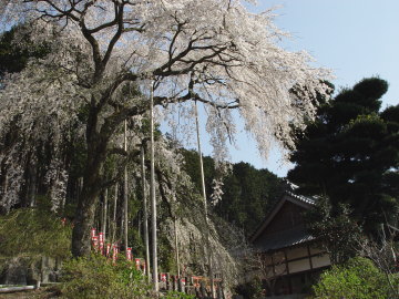 Takisho-ji Temple