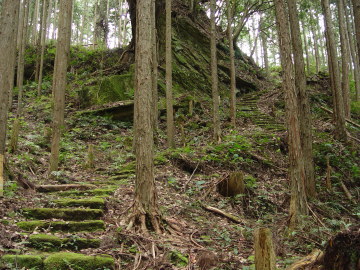 stone path on Hongu-do trail