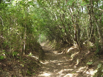 road of "Kokumotorikoe trail"