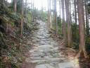 Stone paths